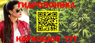 Альфа ПВП Канаш