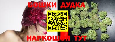Альфа ПВП Канаш