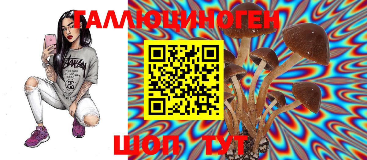 Псилоцибиновые грибы мухоморы  Вход с VPN  Галлюциногенные грибы Cubensis  Элиста 